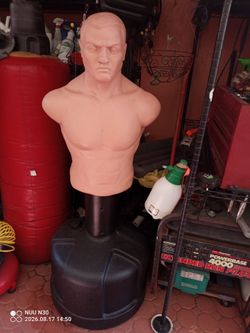 Bob punching bag, wave master, wave master