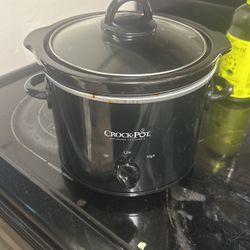 EUC Mini Crockpot 