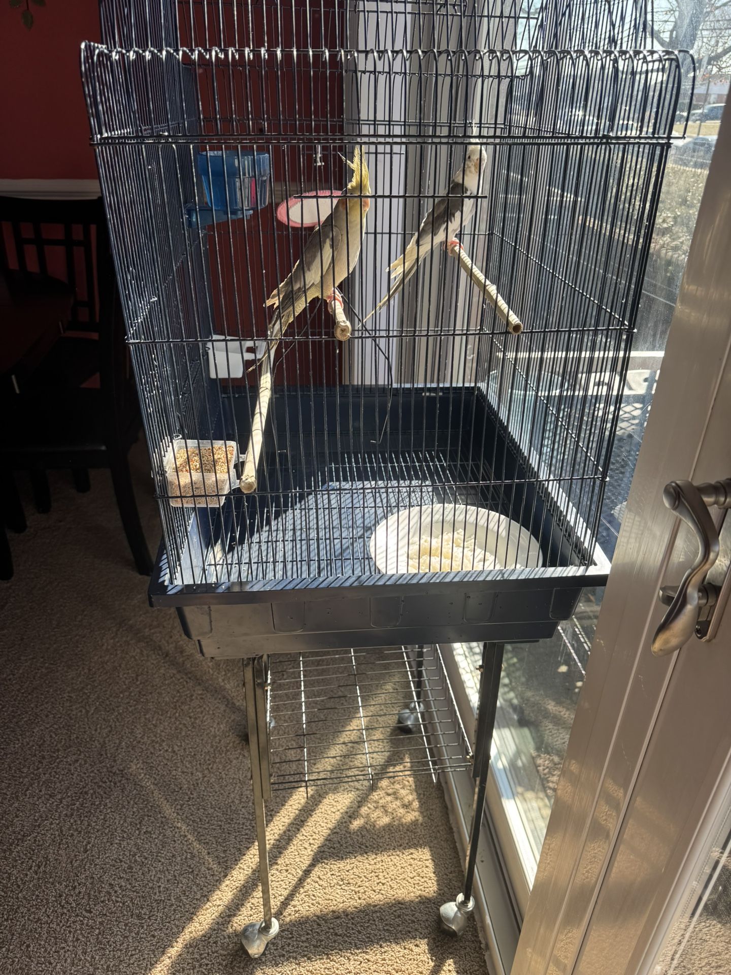 cage