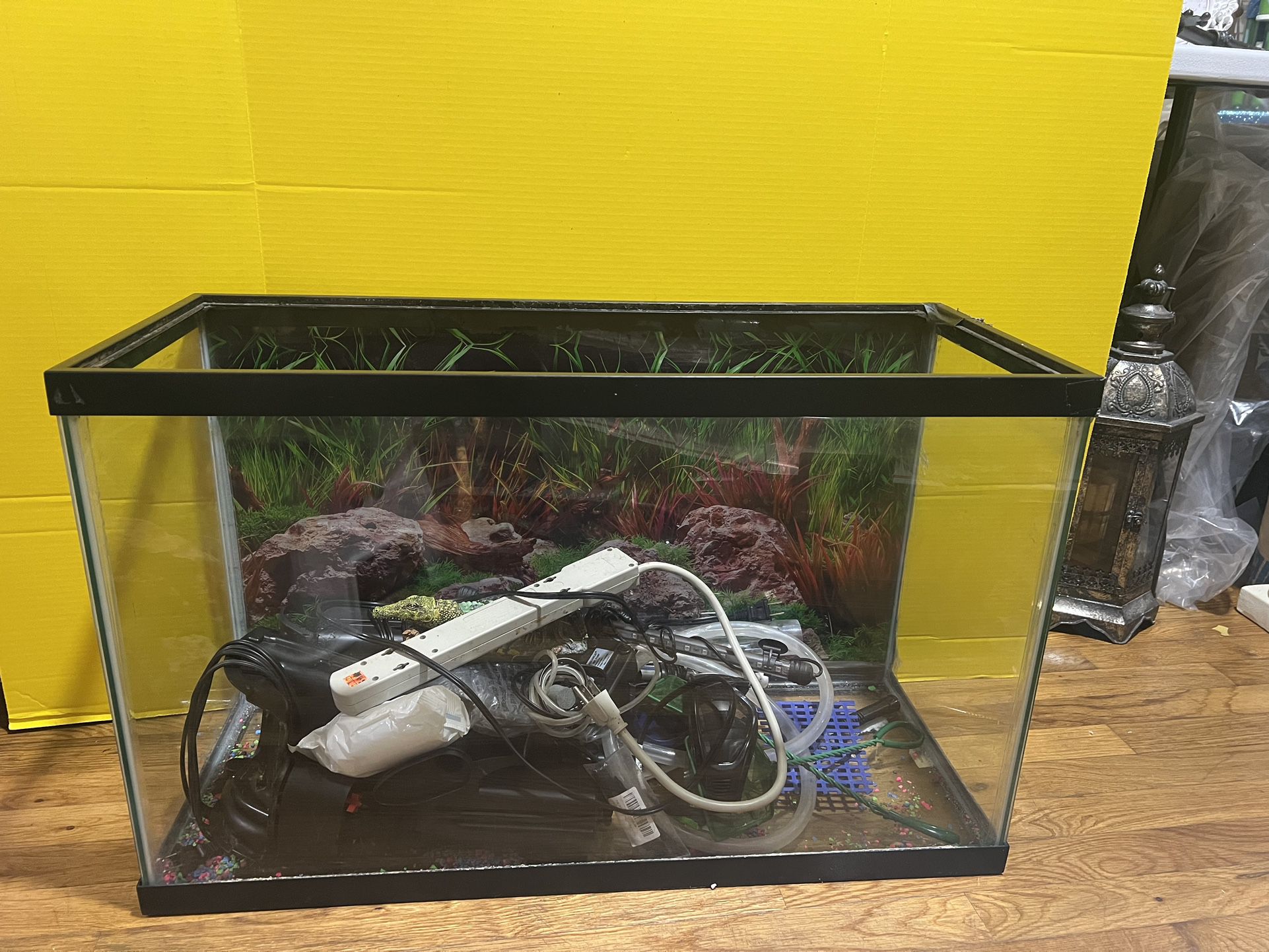 Fish Tank with filters, light, pump and more 