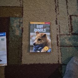 Reading & Activity Books