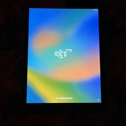 6th Gen iPad
