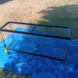 Fish Tank 