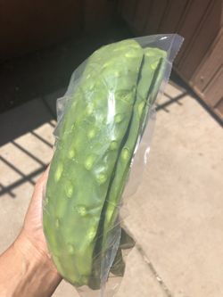 Nopales/ cactus