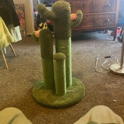 Cactus Cat Scratching Post