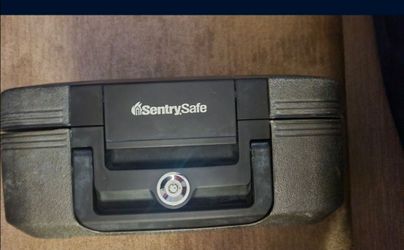 Sentry safe