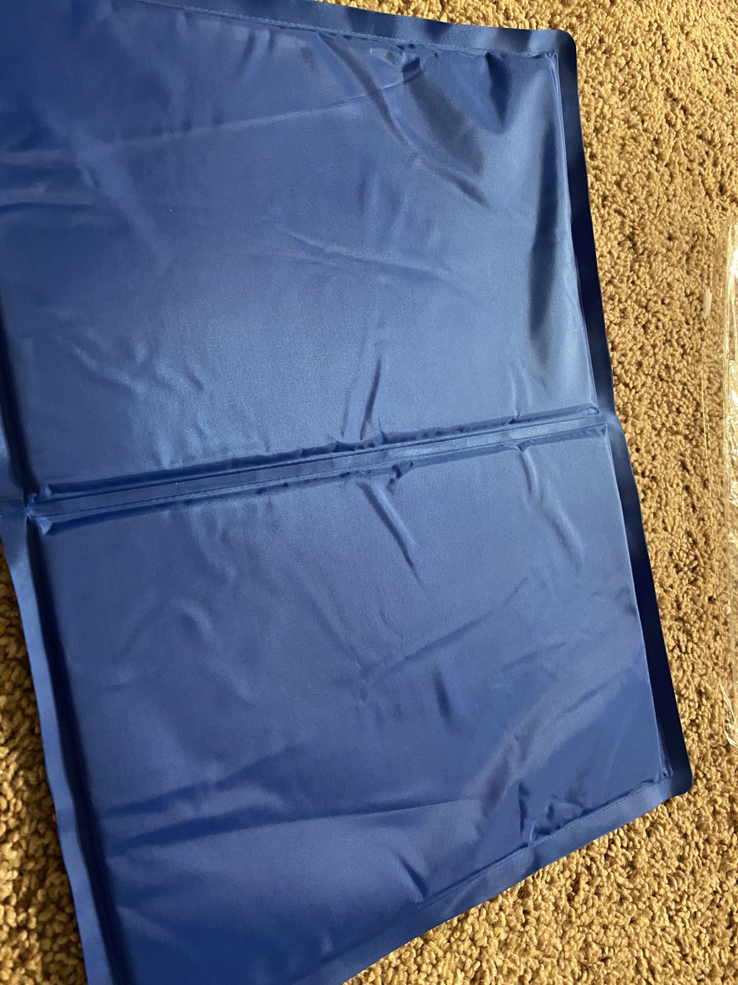 Cooling pad for pet