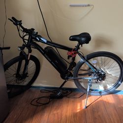 Tot Gaurd Electric Bike