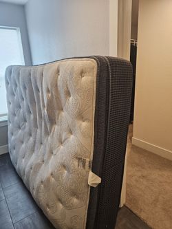 Free Queen Mattress
