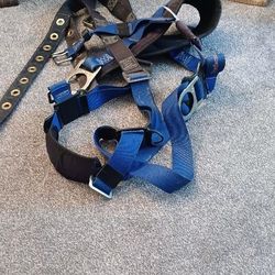 Safety Belt
