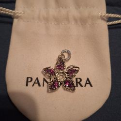 Pandora Charms 