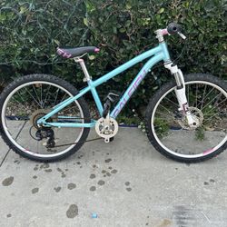 Raleigh Girls Bike 