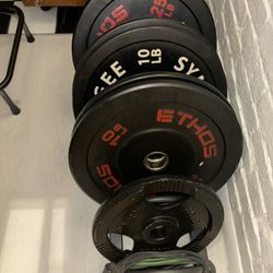 45 lb Barbell & 6 Rubber Bumper Plates
