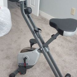 Stamina Folding Exercise Bike 