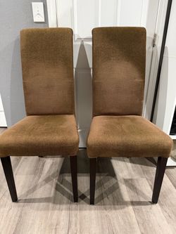 Dining Chairs