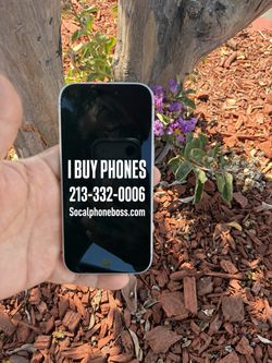 17 pro iPhone