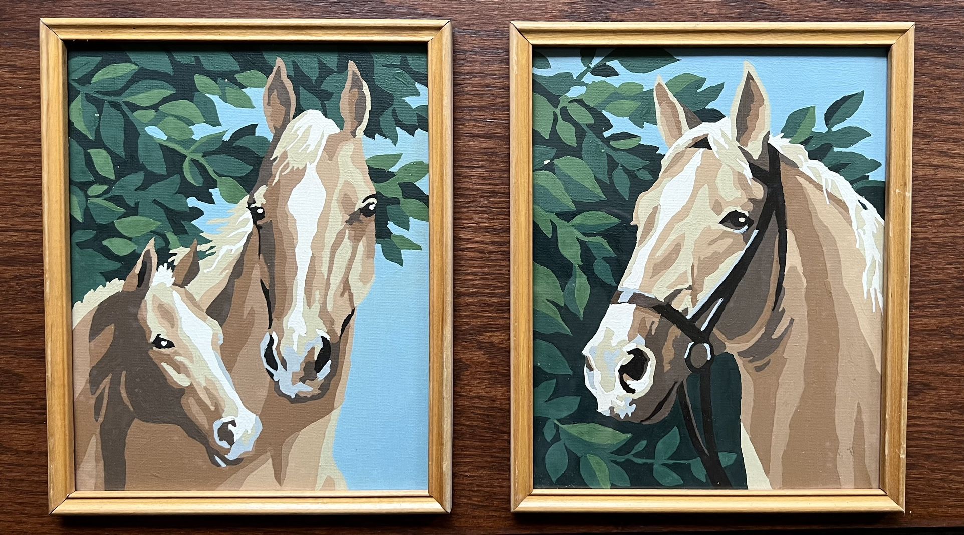 Vintage 1960s Paint by Number with Horse Head Brown White Bridle Paintings 8x10 Western Country Farm Framed Art Set of 2