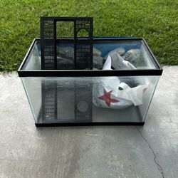 Fish Tank 10 Gal 