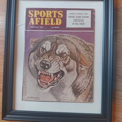 Framed SPORTS AFIELD cover 1952