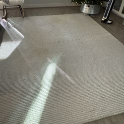 Free Rug Needs Some Cleaning 