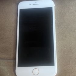 iPhone 7 