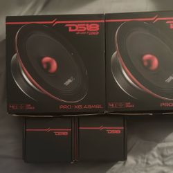Ds18 Speaker And Tweeters 