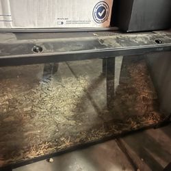 Reptile tanks and incubators