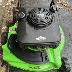 Shiny Lawn Boy Gas Powered Lawn Mower