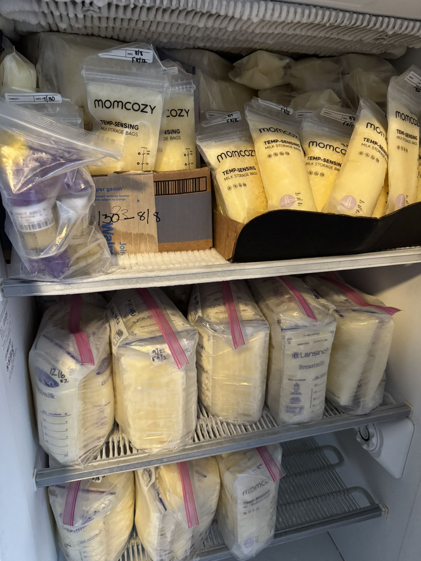 Frozen Breast milk From A Healthy Mom