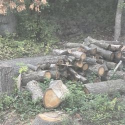 Free Wood 