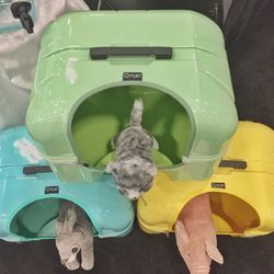 Cat Litter Box