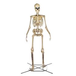 Home Depot And Home Accents Halloween 12 Ft. Skeleton Light Up Eyes Realistic Prop