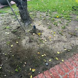 N Irrigation For Plants 