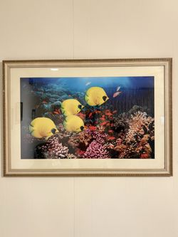 Large Framed Tropical Coral Reef Wall Art - 39" x 27"