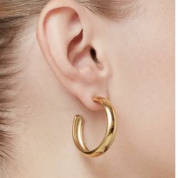 JENNY BIRD Staple Hoops Large Earrings in High Polish Gold NEW