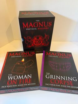 Magnus Protocol Mysteries puzzle detection games
