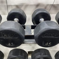 45lb Dumbbells 