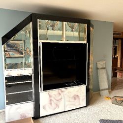 FREE Display Entertainment Center 