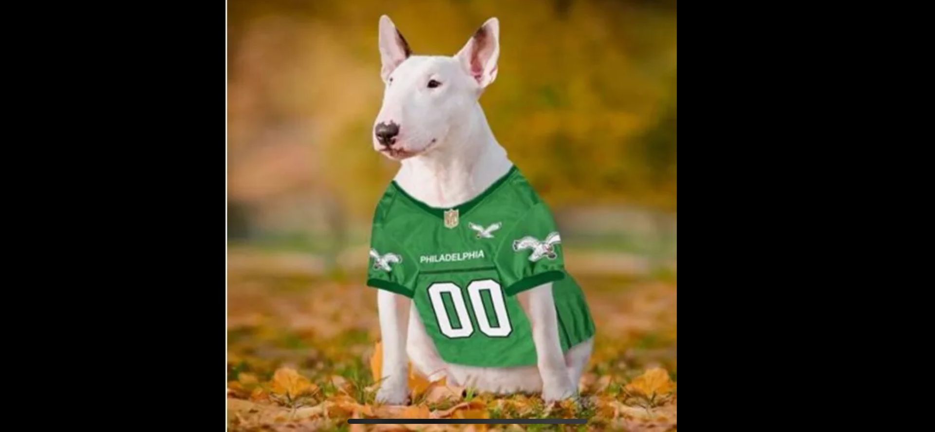 KELLY GREEN PHILADELPHIA EAGLES DOG JERSEYS-SIZE MEDIUM AND LARGE