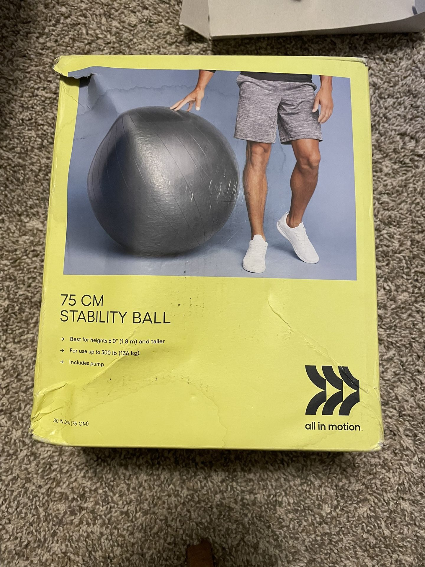 Exercise/Labor Ball