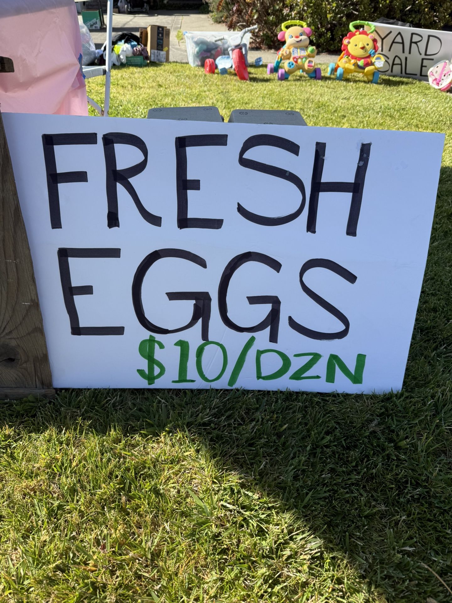 Fresh Eggs $10/dozen