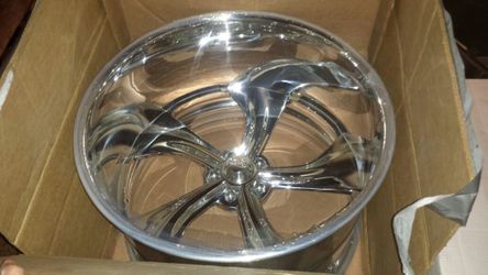 Intro wheels (Gallup)