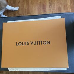 Louis Vuitton Empty Box And Dust Bag 