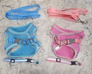 Puppy Collar, Harness, And Leash Set 