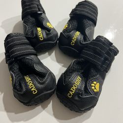 Dog Cadoshy Boots
