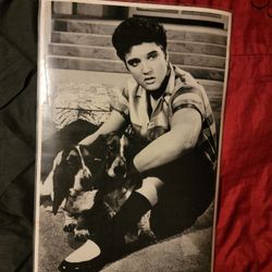 5 ELVIS Large Laminated Glossy Photos 17.5 X 12 Inches Collectors