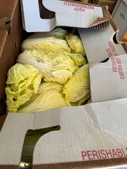 Free Produce Giveaway 