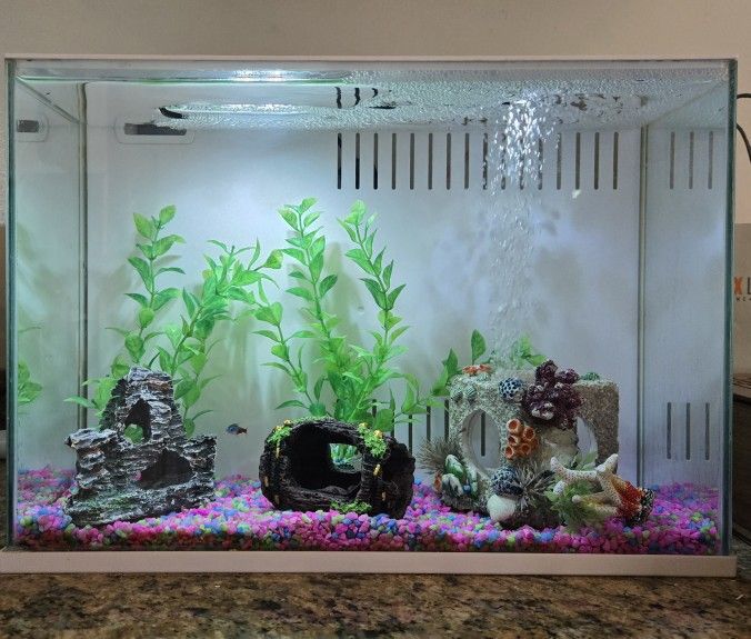 Top Fin Easy Clean 5 Gallon Aquarium With Decorations