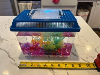 Small Fish Tank With Plants & Rocks As Shown