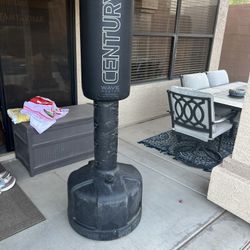 Century Wavemaster punching bag
